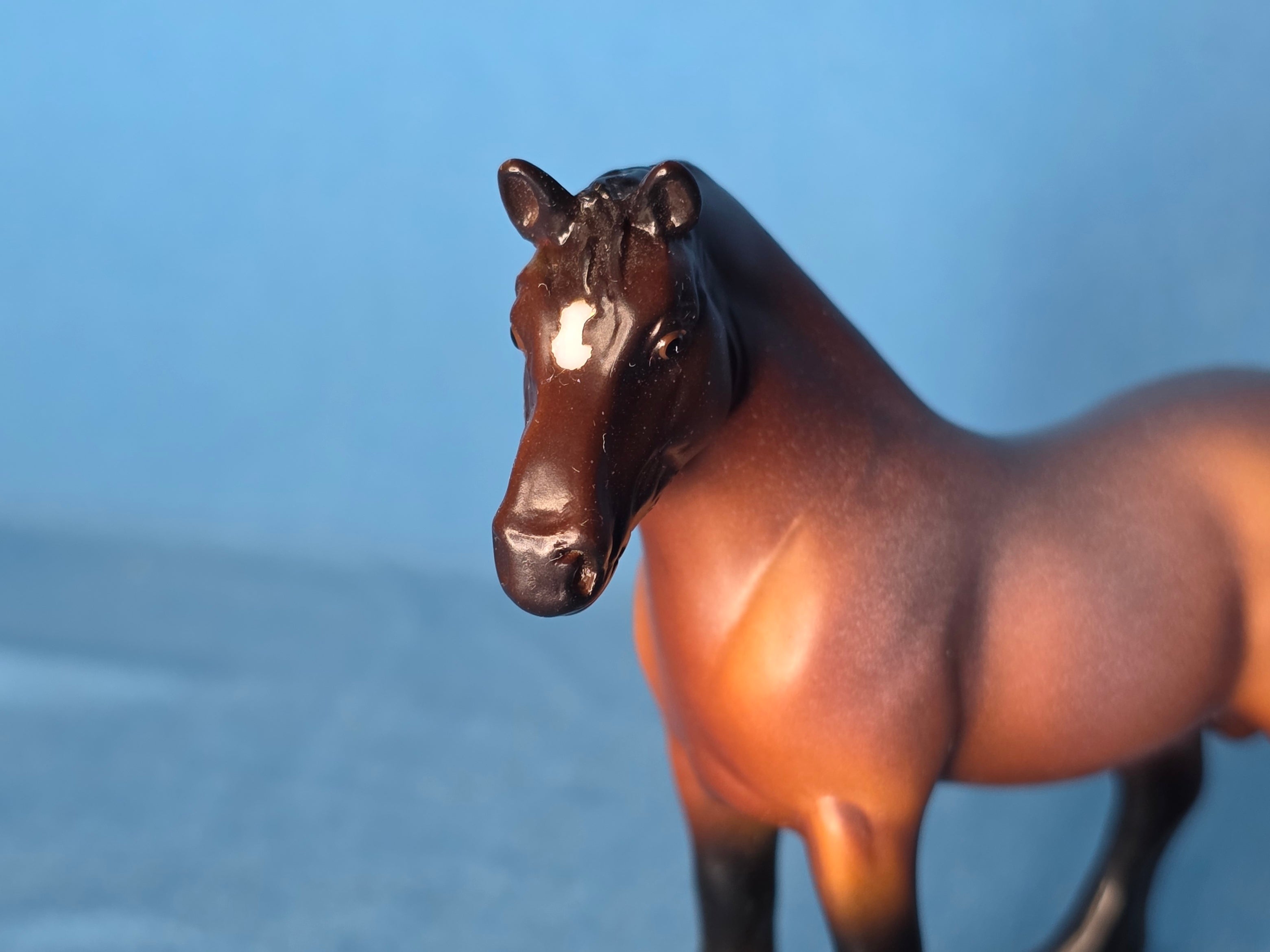 Simba du Pont de Tourney 30th Anniversary Stablemate