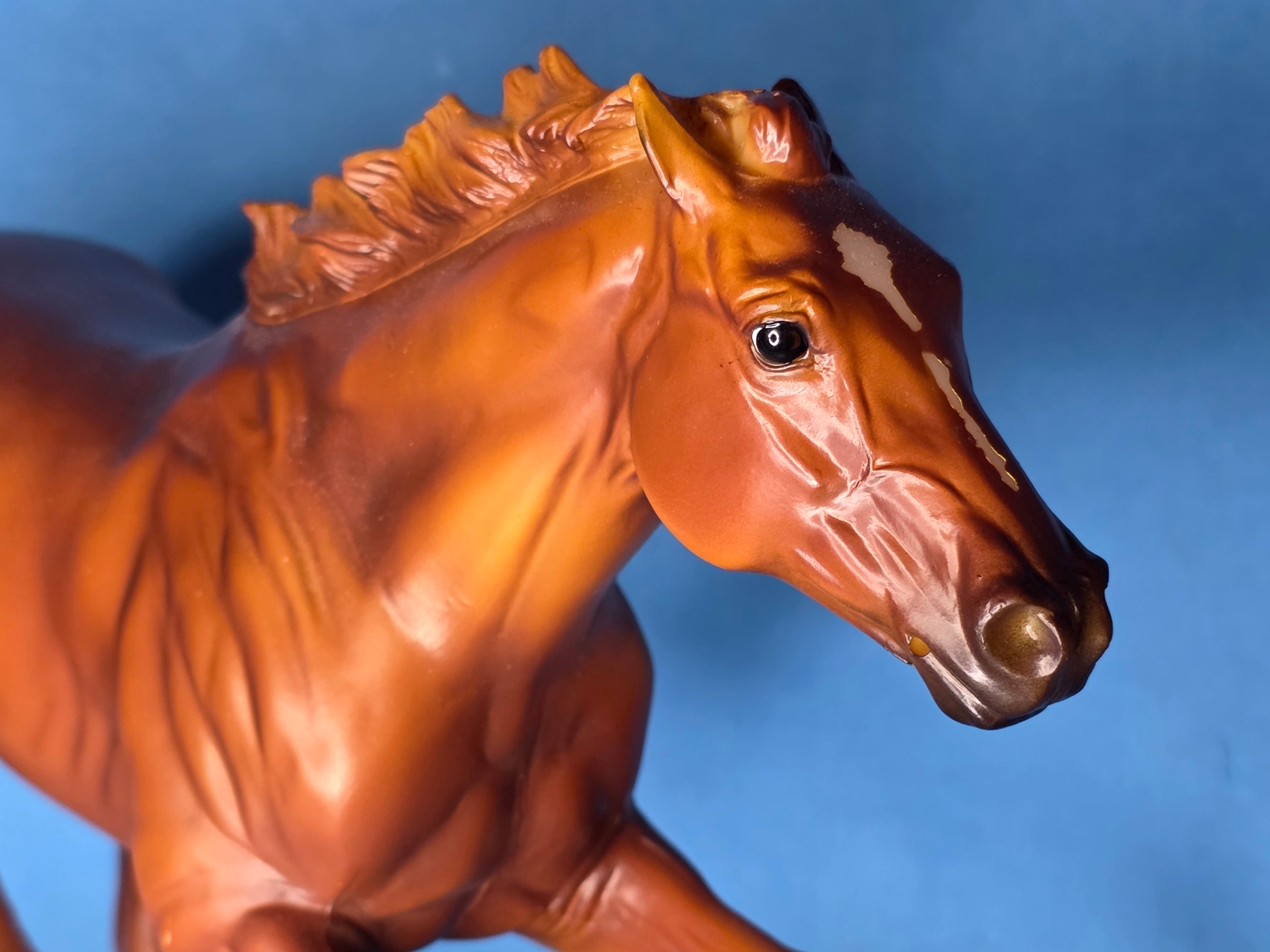 Secretariat