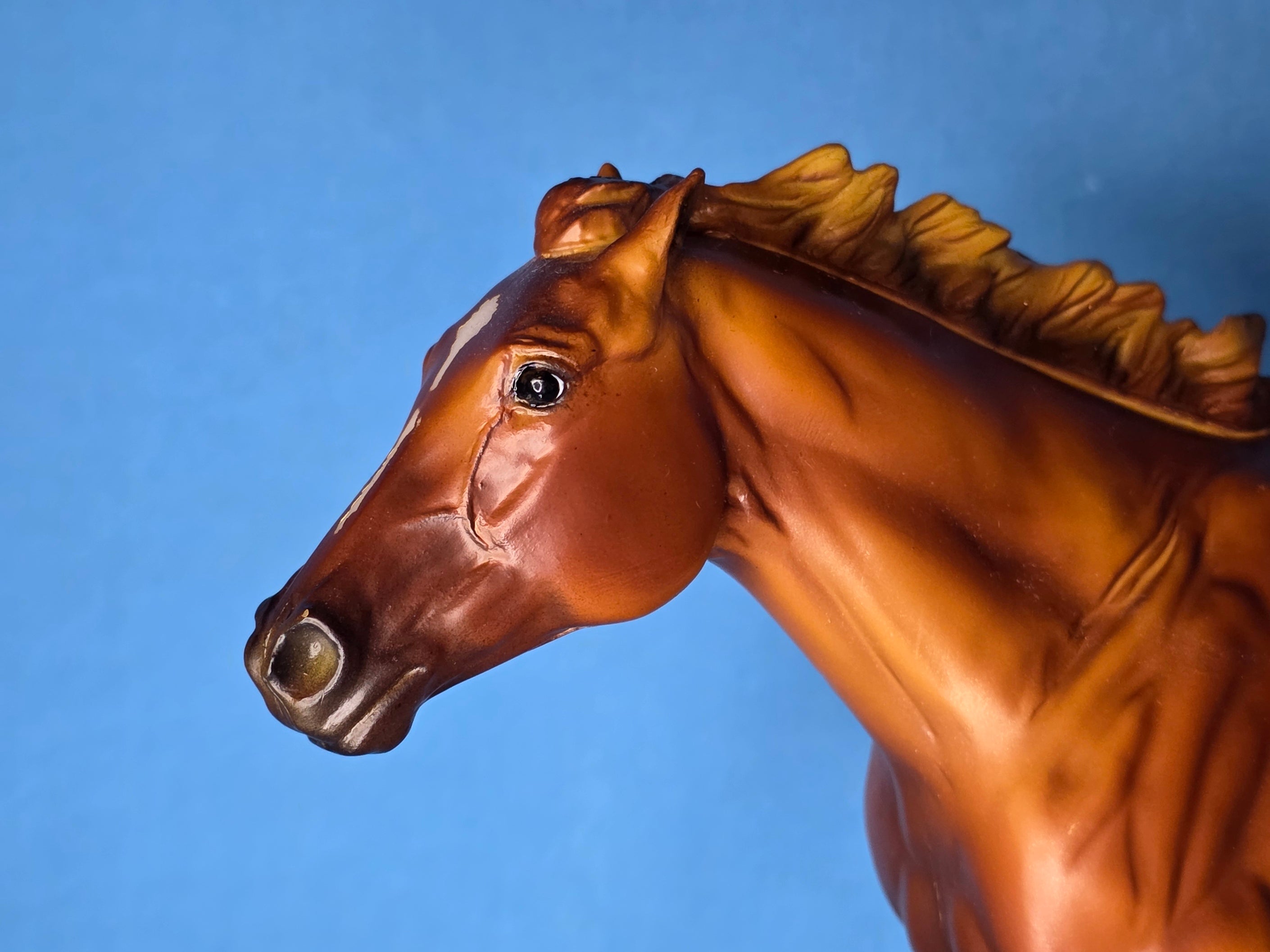 Secretariat