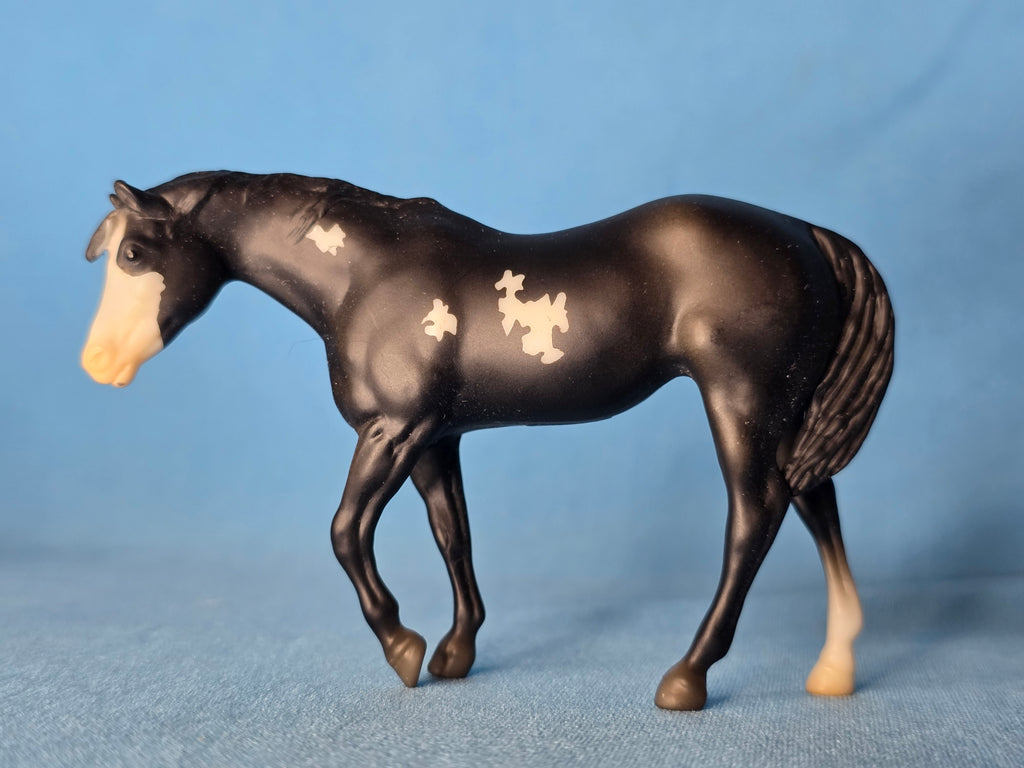Black Overo Indian Pony Stablemate