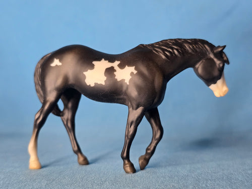 Black Overo Indian Pony Stablemate